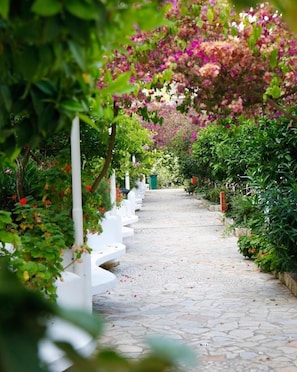 Comfort Suite, 2 Bedrooms | Room amenity - Family Seaview Condo Bougainville Bay (Sarande)