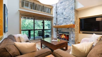 TV, fireplace, video games