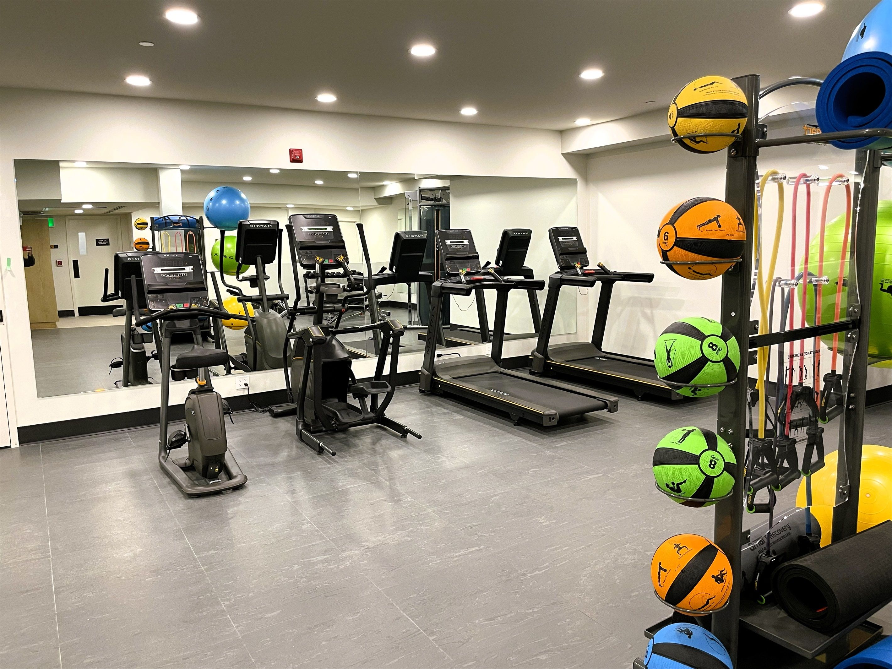 A gym with treadmills, ellipticals, and a variety of exercise balls.