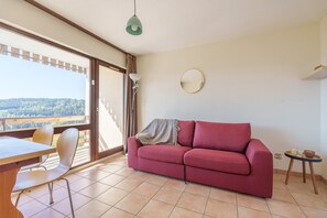 TV - Le Cocon du Chaud Costet - Avec balcon (Le Tholy)