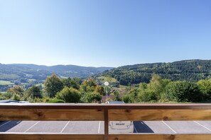 Property grounds - Le Cocon du Chaud Costet - Avec balcon (Le Tholy)