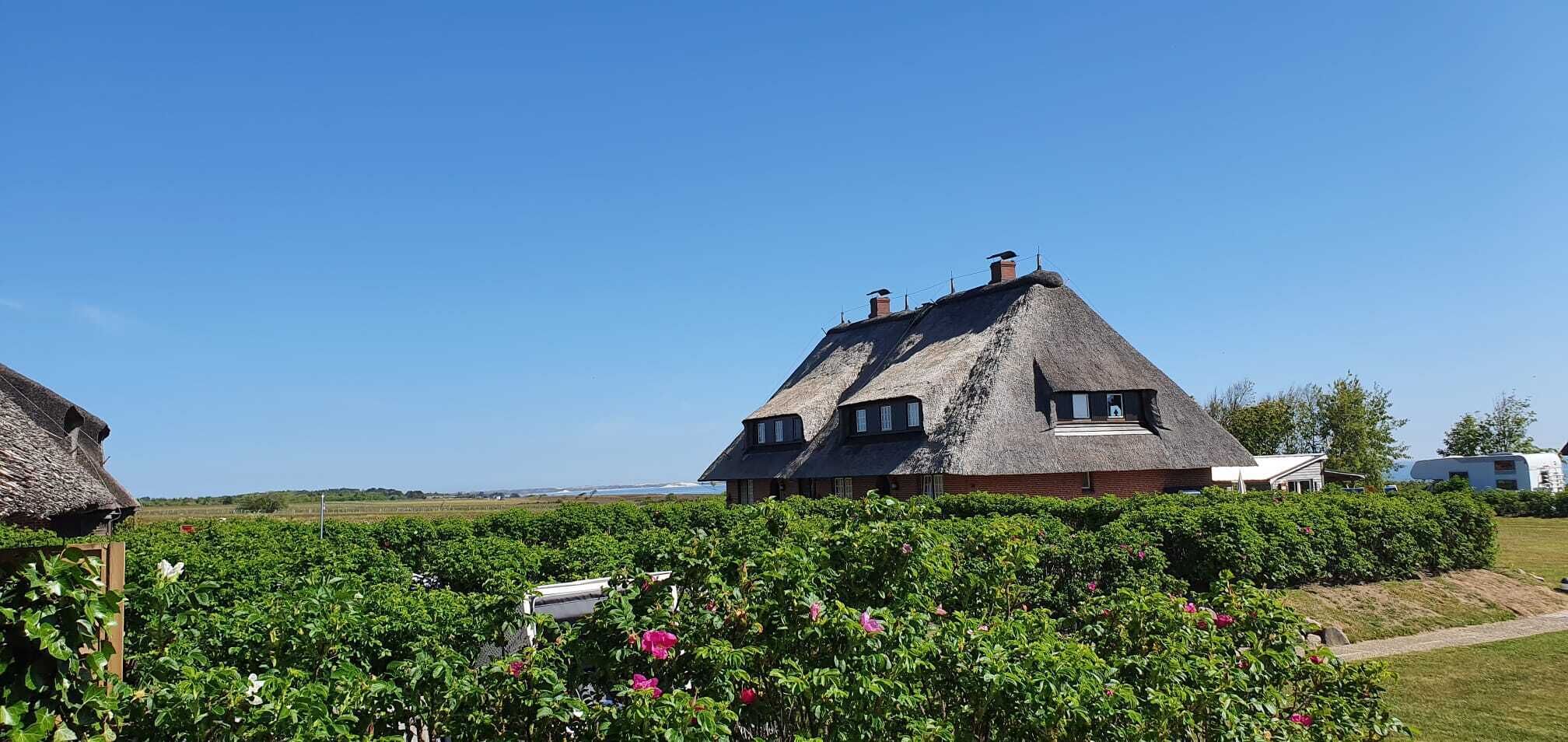 A traditional house with a thatched roof, surrounded by a well-maintained garden and a vineyard.