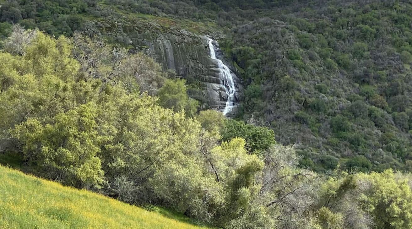A waterfall surrounded by dense green foliage.