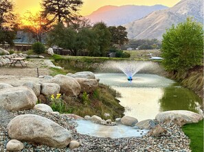 Property grounds - Beautiful Blossom Creek Suite (Three Rivers)