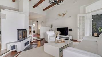 TV, fireplace, video games