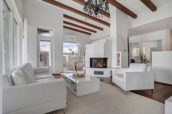 TV, fireplace, video games