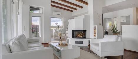 Télévision, cheminée, jeux vidéo