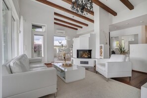 TV, fireplace, video games