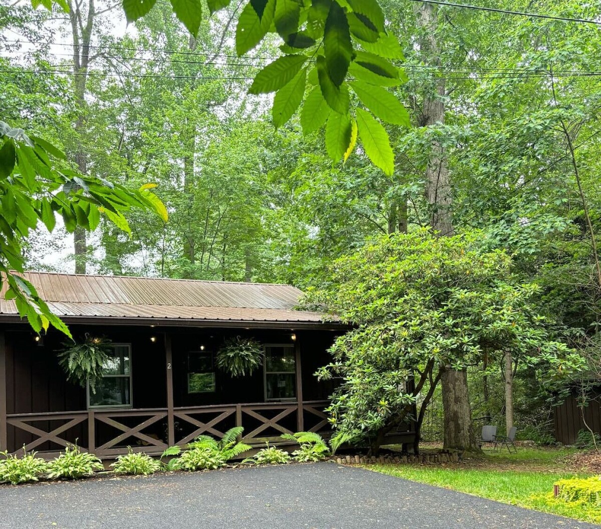 Image de profil de lâhĂŽte