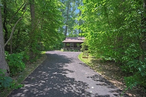 Property grounds - The Hideaway Cottage (Gap)