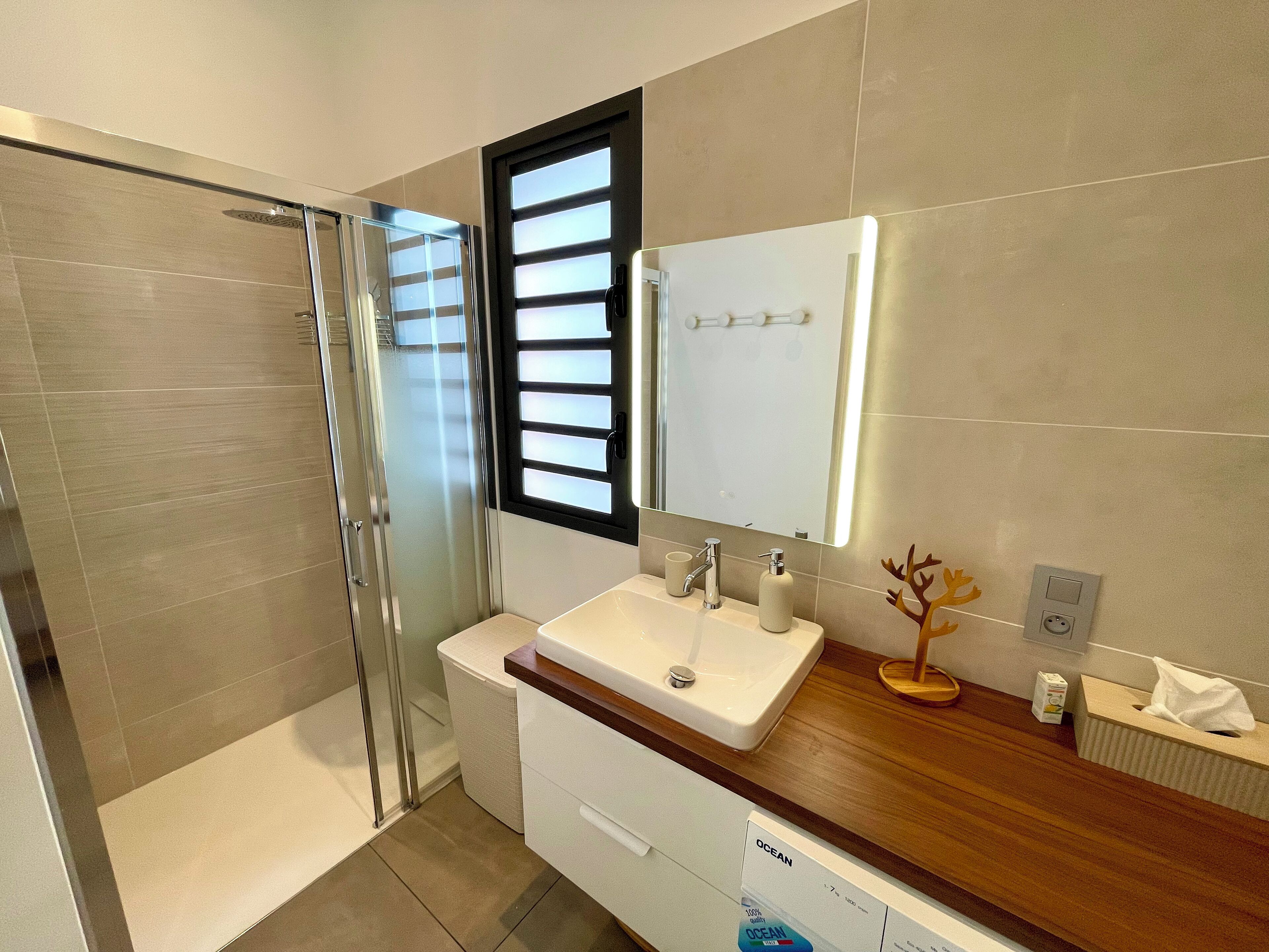 Shower, hair dryer, bidet, towels