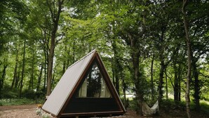 Eine kleine, dreieckige Holzhütte im Wald mit einer Hängematte in der Nähe.