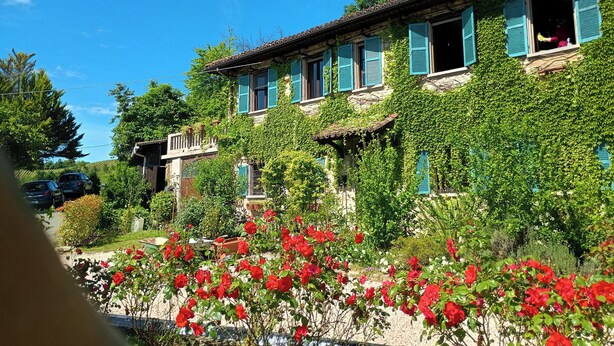 A two-story stone building with blue shutters, surrounded by lush greenery and red flowers. - Casa Levi (Bistagno)