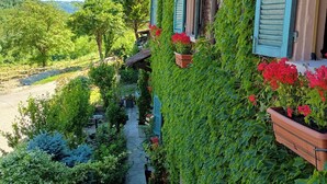 A narrow pathway flanked by lush greenery and potted plants, leading to a building with blue shutters and a rustic wooden roof. - Casa Levi (Bistagno)