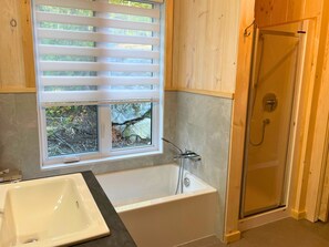 Shower, towels, toilet paper