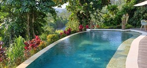 A curved pool with clear water, surrounded by lush greenery and a wooden deck. - The green Sidemen  (Klungkung)