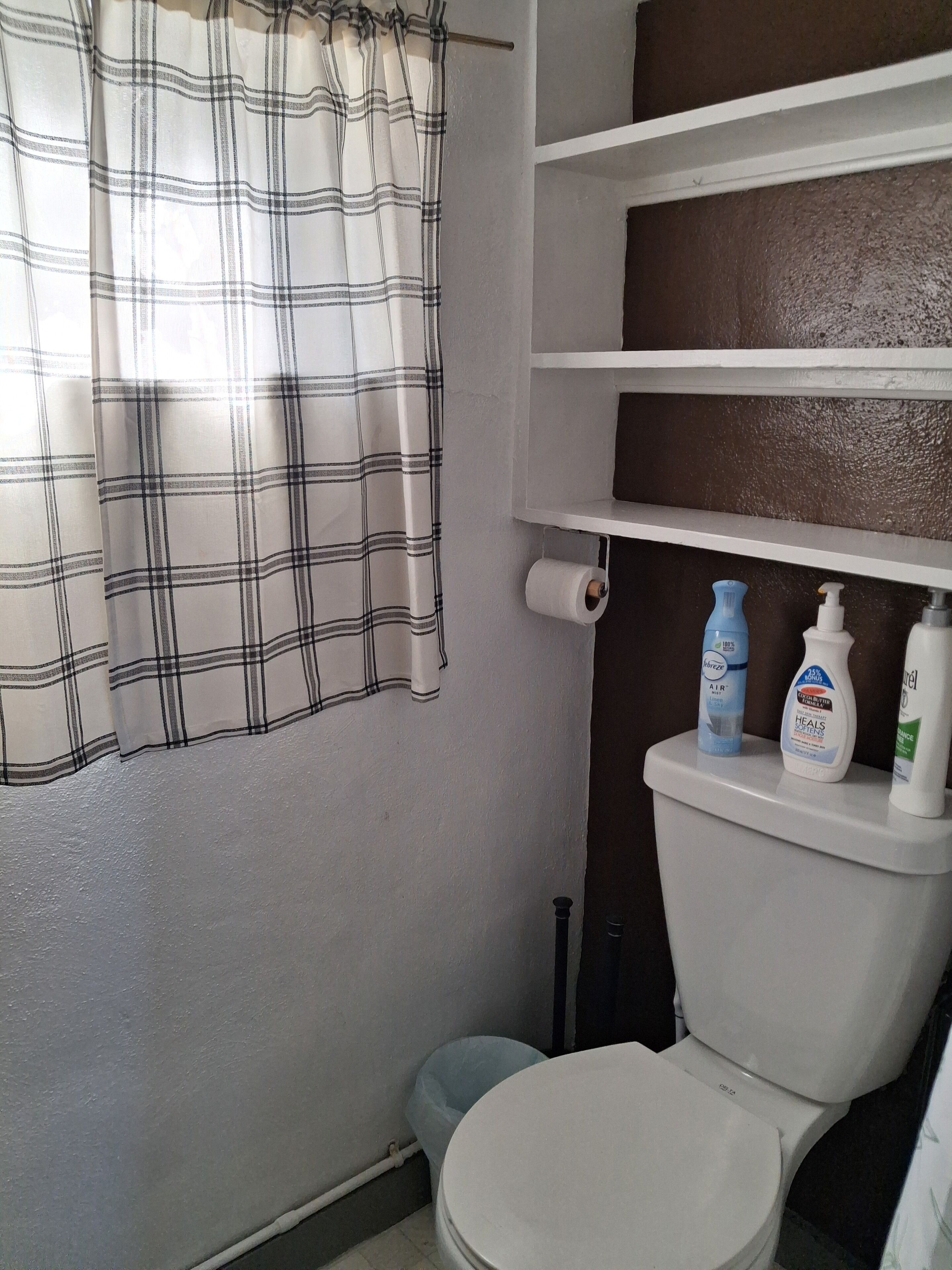 A bathroom with a white toilet, a roll of toilet paper, and a shelf with toiletries including a blue bottle and a white bottle.