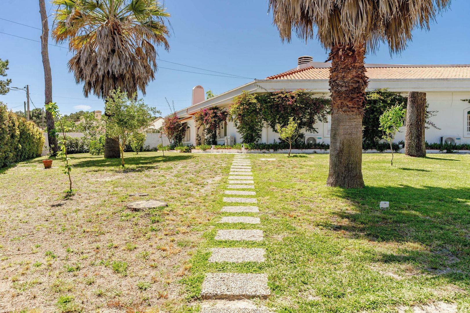 A pathway leading to a building with a tiled roof, surrounded by greenery and palm trees.