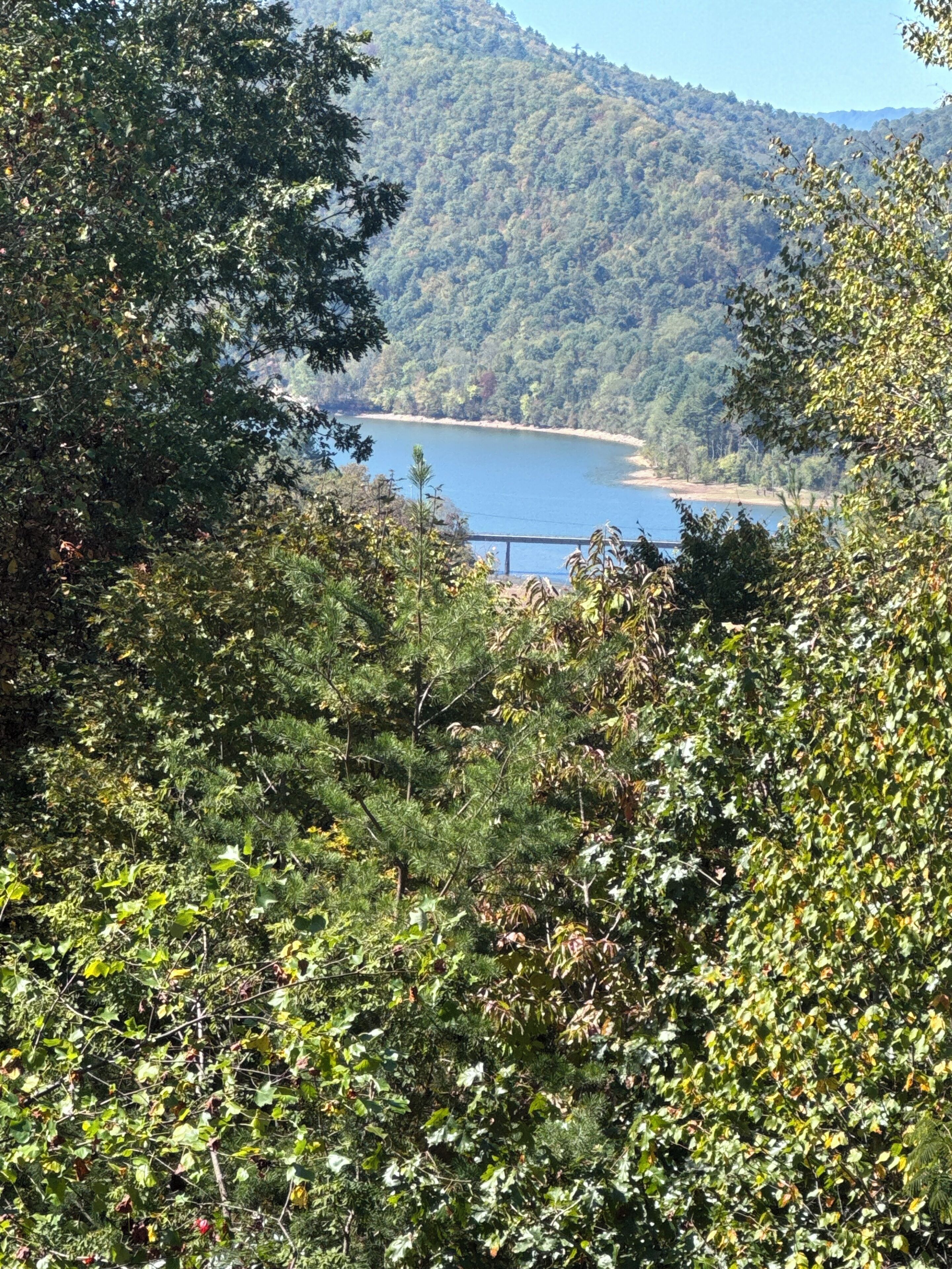 A natural landscape with a lake surrounded by dense forest and hills.