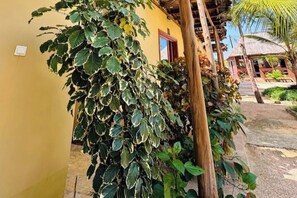 Property grounds - Bed & Breakfast, Palm Cultural Village hotel (Paje)