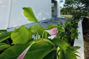 تفاصيل الفندق من الخارج