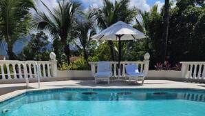 Uitzicht op het zwembad met een betegeld terras, lounge fauteuils en een palmboom op de achtergrond.