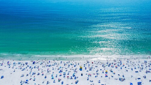 🦩Book Me Baby! Wildflower Inn Siesta Key #1 Bromeliad🦩