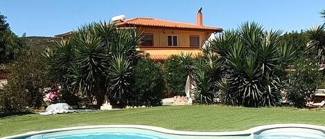 Una piscina rodeada de césped cuidado y palmeras, con una casa al fondo.