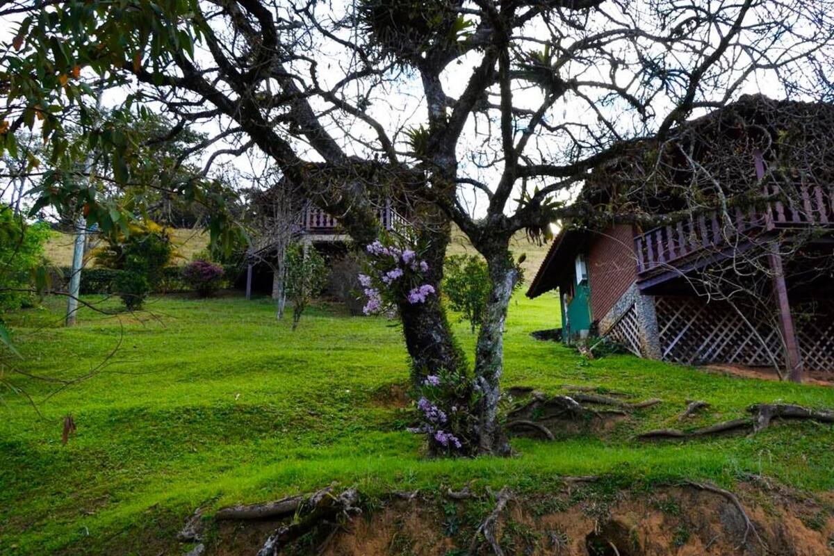 Chalet | Wifi gratis