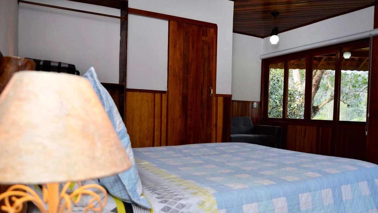 Una habitación con cama, una silla, una lámpara y una ventana con vistas a árboles.
