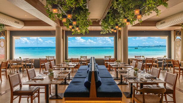 A restaurant with a view of the ocean, tables with chairs, and hanging plants.
