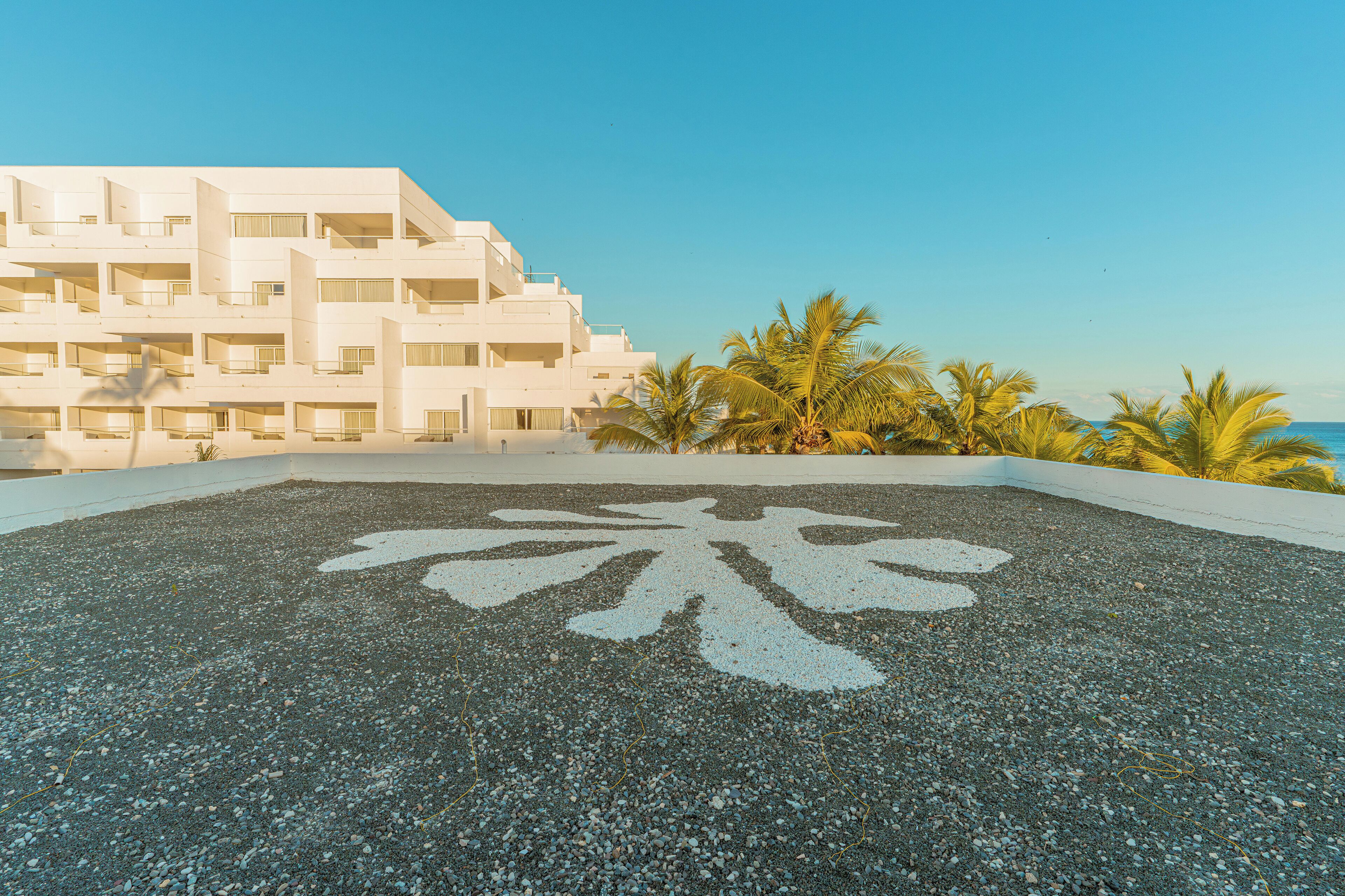 Un edificio moderno con fachada geométrica, una zona pavimentada con diseño de palmera y un cielo azul despejado.