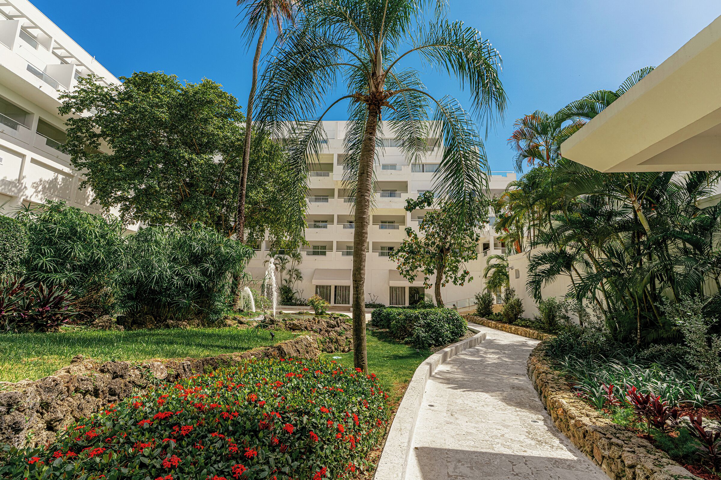 A pathway leading to a building with a garden and palm trees.