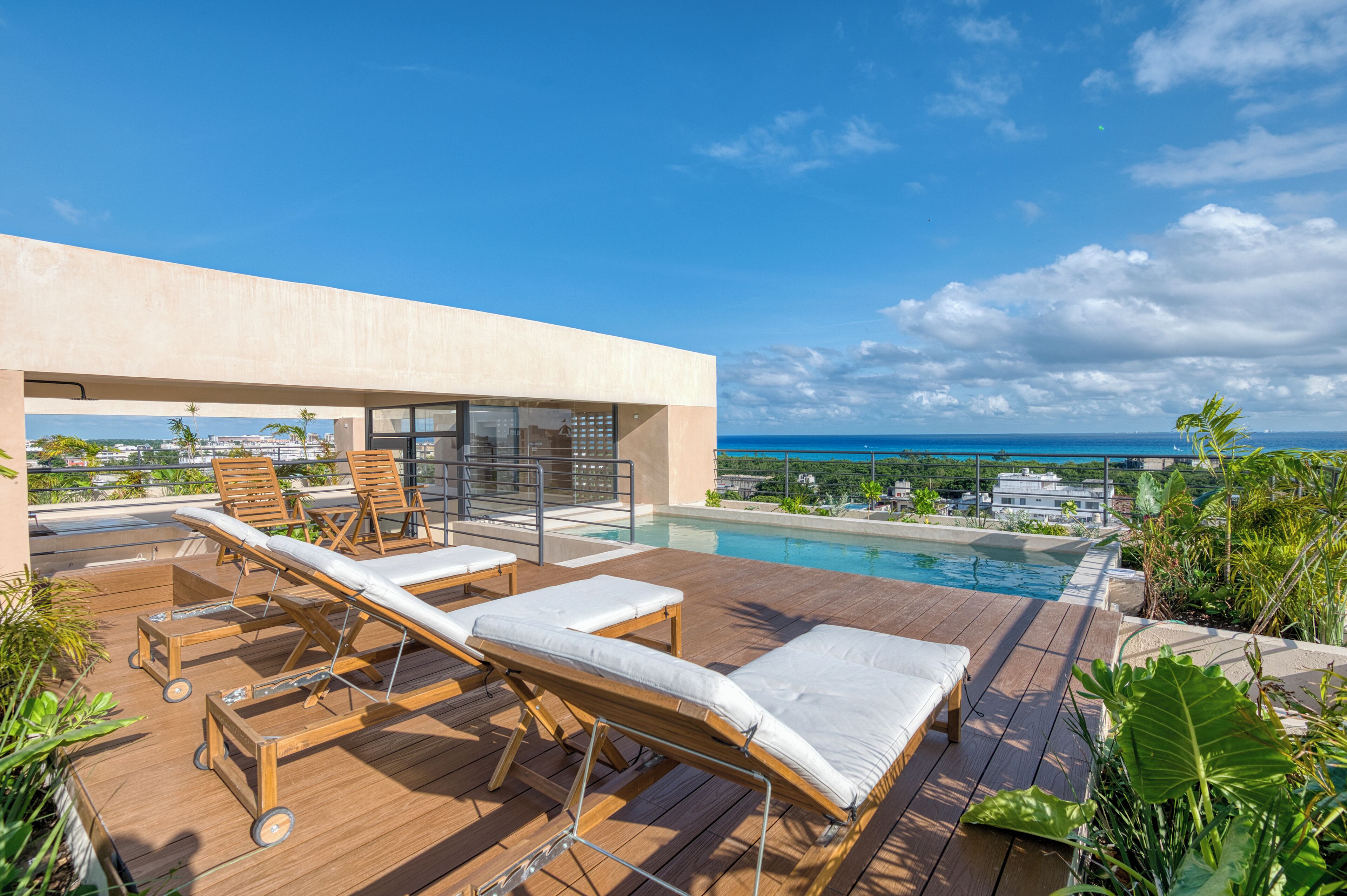 Outdoor pool, sun loungers