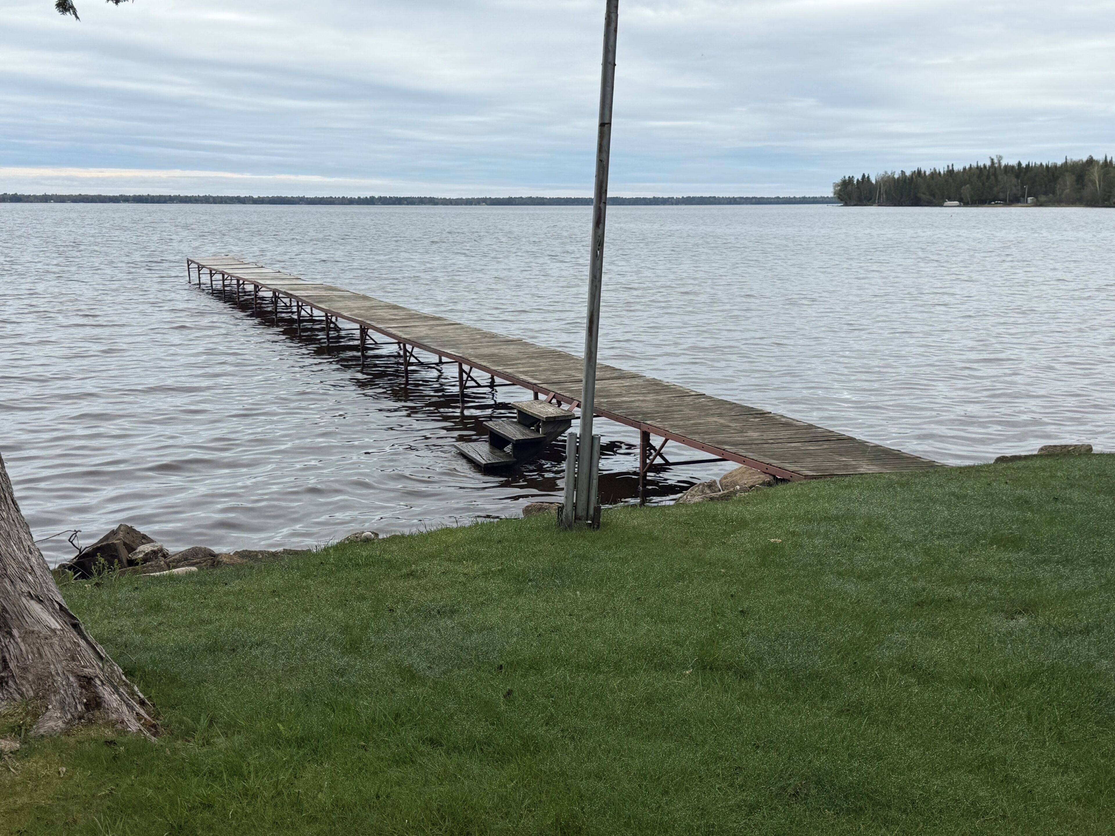 A wooden dock extending into a calm lake with a grassy shoreline and a tree in the foreground.