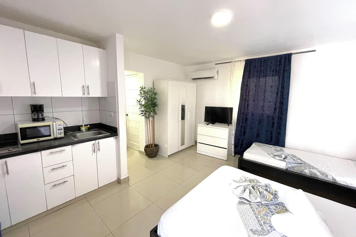 Una habitación de hotel compacta con kitchenette, una cama, televisor y una planta en maceta.