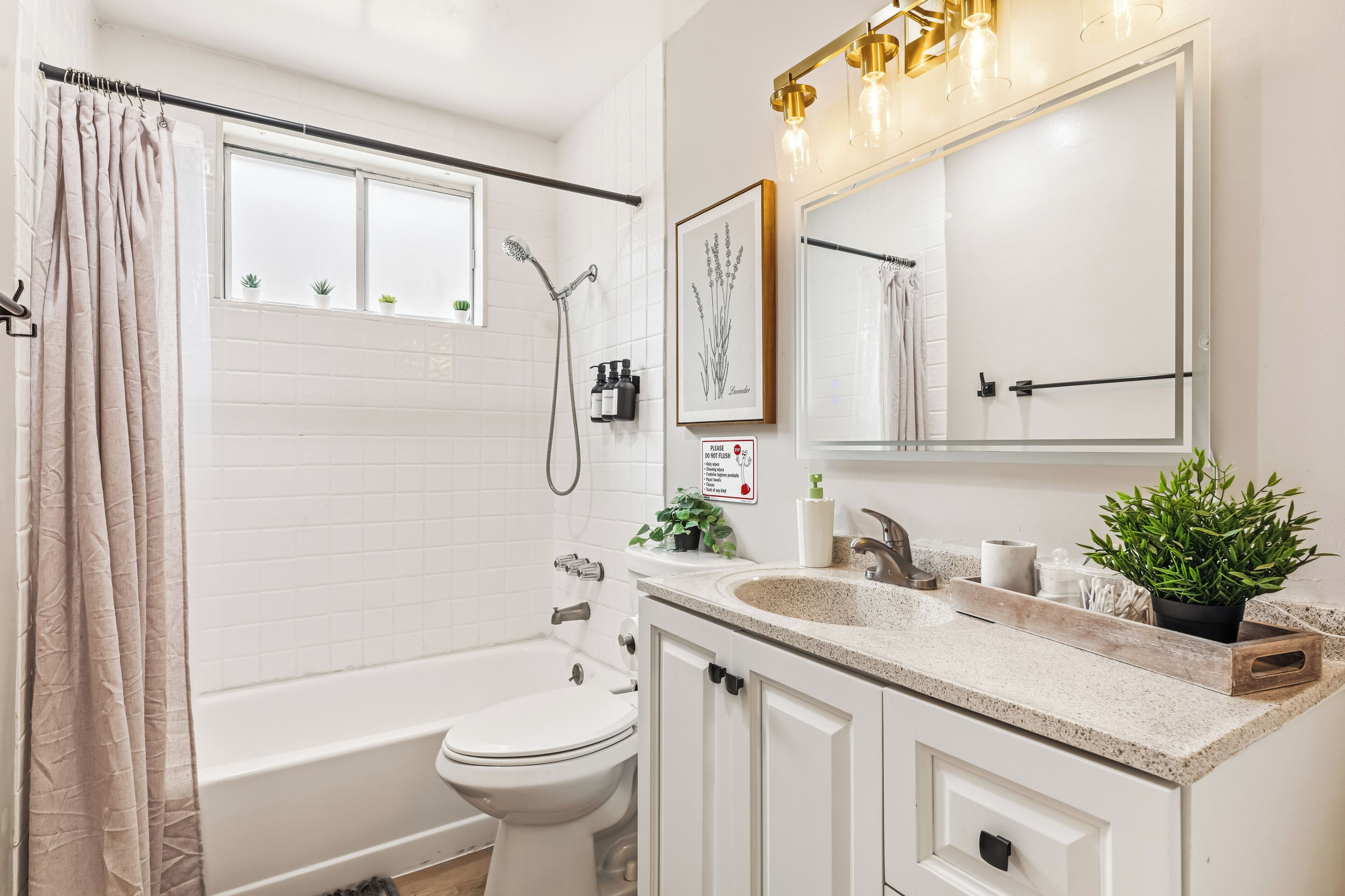 Hair dryer, towels, soap, shampoo