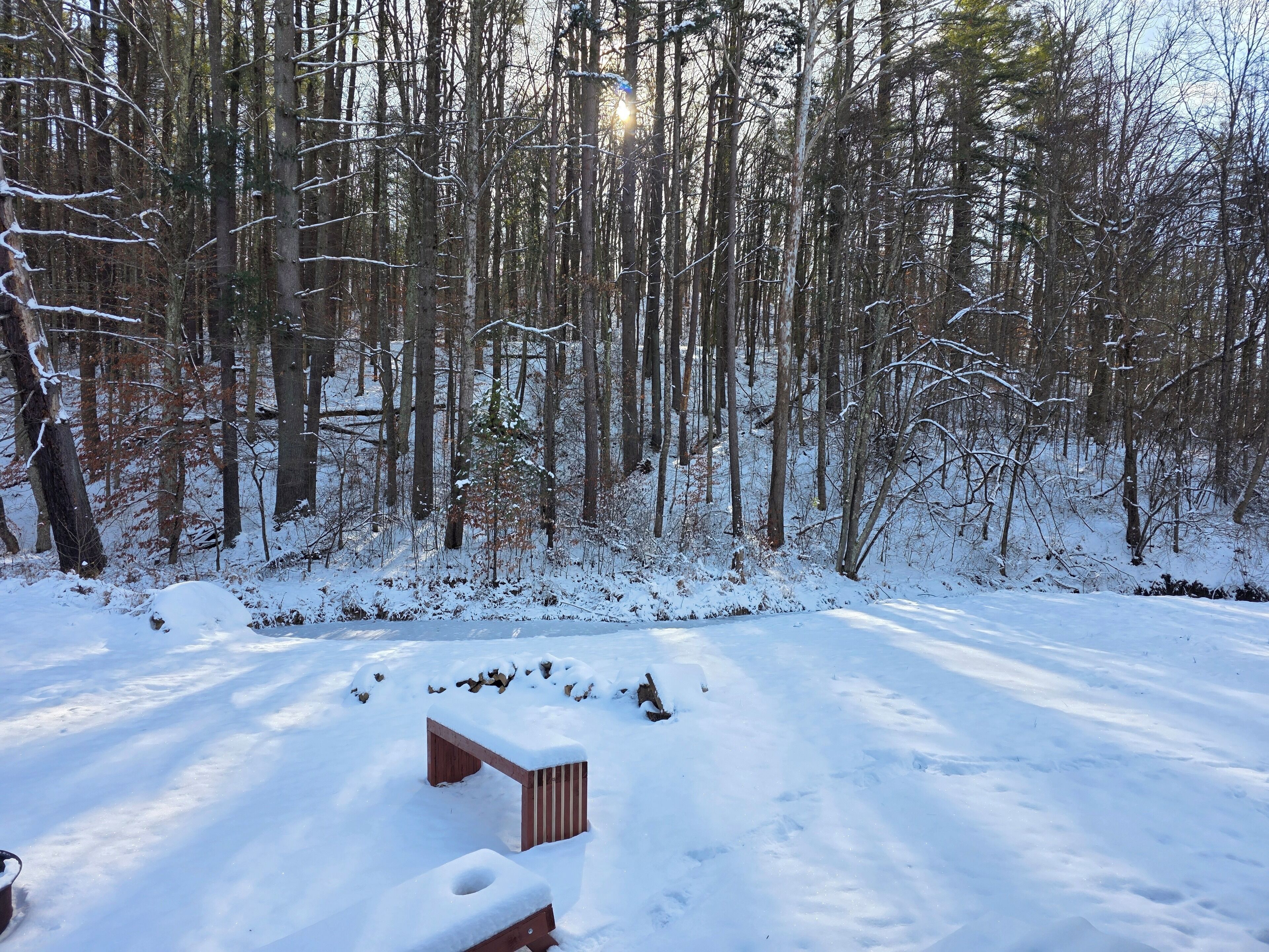 A snowy forest with a wooden bench and a small wooden structure.