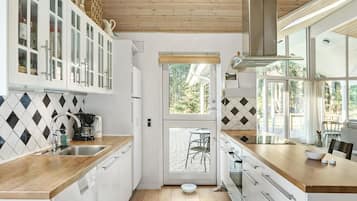 Kühlschrank, Herdplatte, Geschirrspüler