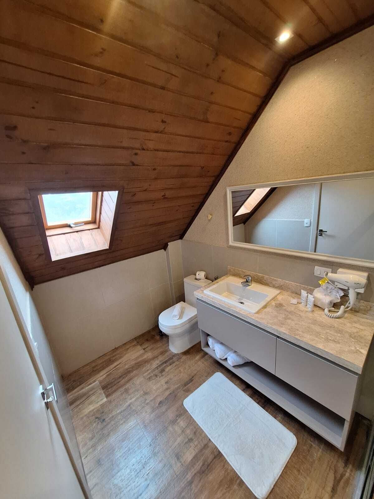 A small, sloped-roofed bathroom with a wooden ceiling, a window, a toilet, a sink, and a mirror.
