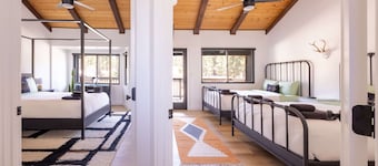 New! Bearadise ~Walk to Convention Center