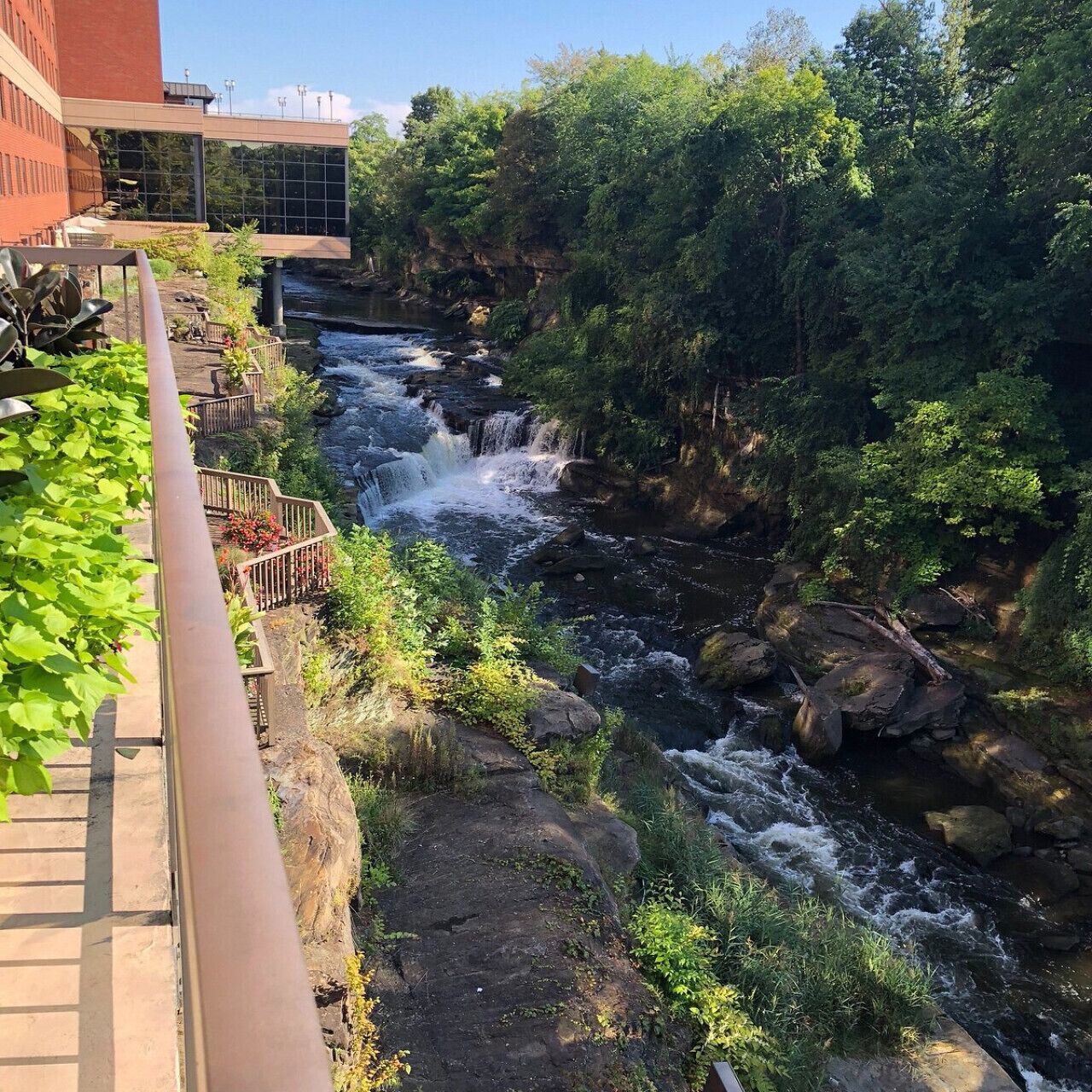 Overnatningsstedets område