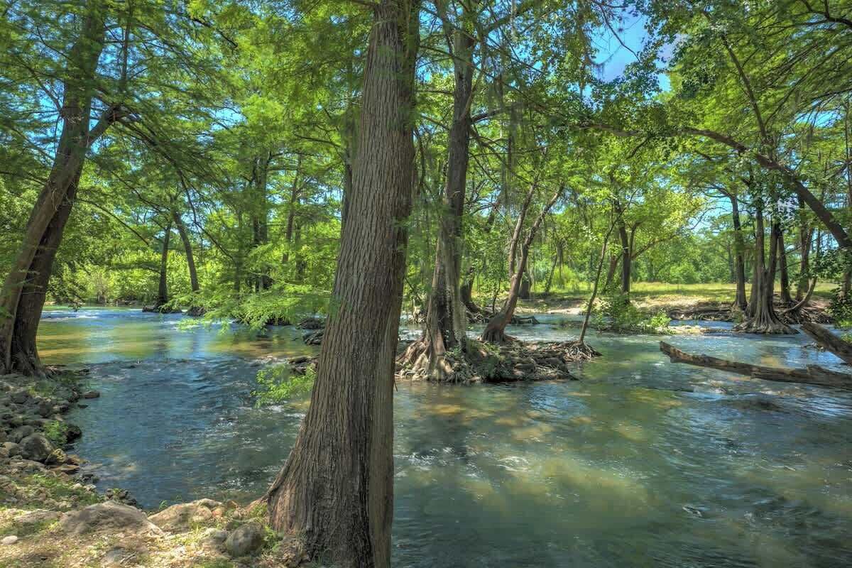 Un fiume che scorre attraverso una foresta, con alberi e rocce.