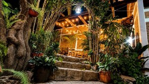 A staircase leading to a wooden structure with string lights, surrounded by lush greenery and potted plants.