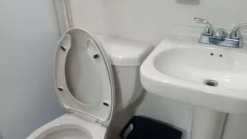 Habitación Confort | Baño | Toallas, jabón, champú y papel higiénico