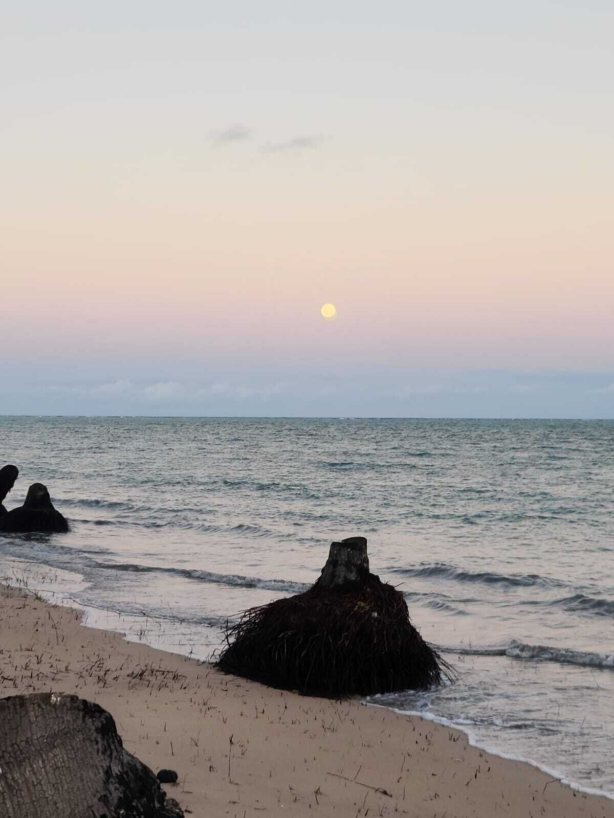 Sun loungers, beach towels