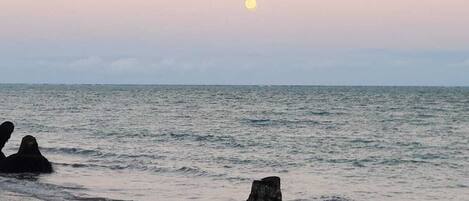 Sun-loungers, beach towels