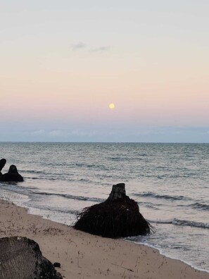 Camastros y toallas de playa 