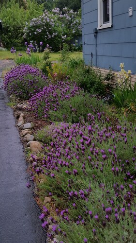 Charming bed & breakfast in peaceful Snohomish