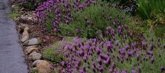 Charming bed & breakfast in peaceful Snohomish